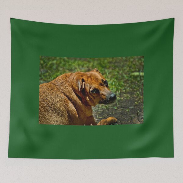 Item preview, We Miss You Nina, RIP designed and sold by alabca.