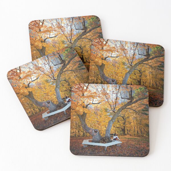 Item preview, My Oasis designed and sold by Yannik Hay.