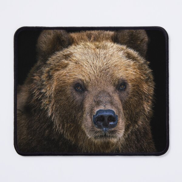 Item preview, Portrait of Kamchatka bear designed and sold by LubosChlubny.