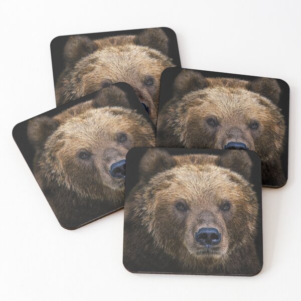 Item preview, Portrait of Kamchatka bear  designed and sold by LubosChlubny.