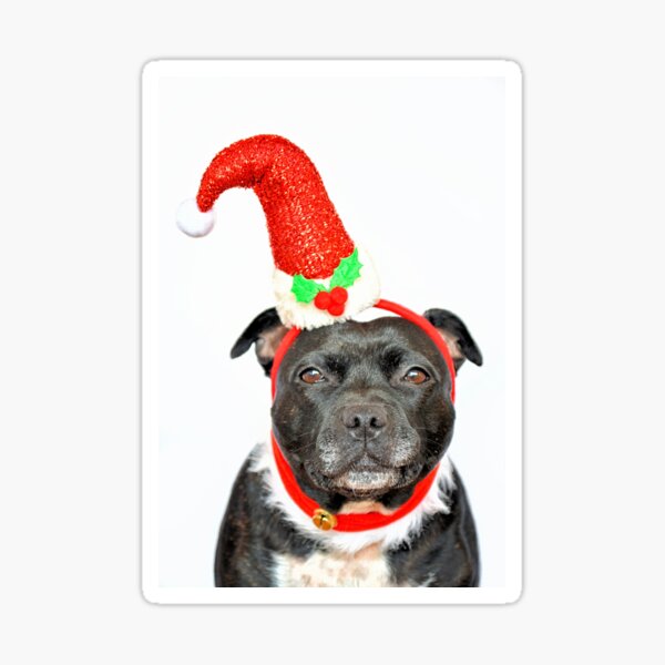 Merry Christmas.. Sticker