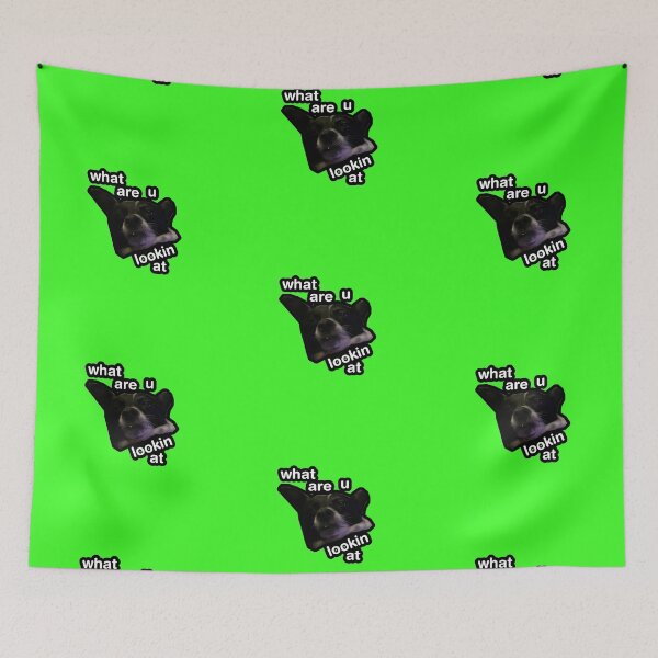 Item preview, what are u lookin at dog green designed and sold by DigiBerryAtlr.