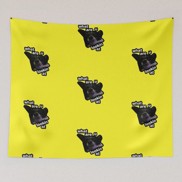 Item preview, what are u lookin at dog yellow designed and sold by DigiBerryAtlr.
