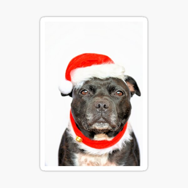 Merry Christmas.. Sticker