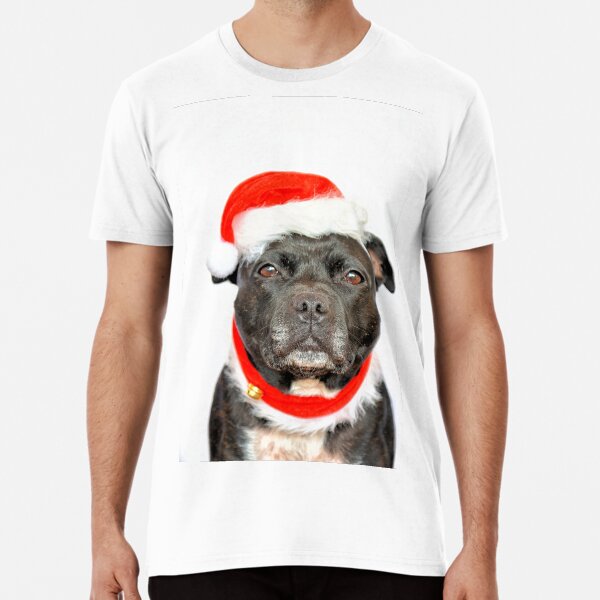 Merry Christmas.. Premium T-Shirt