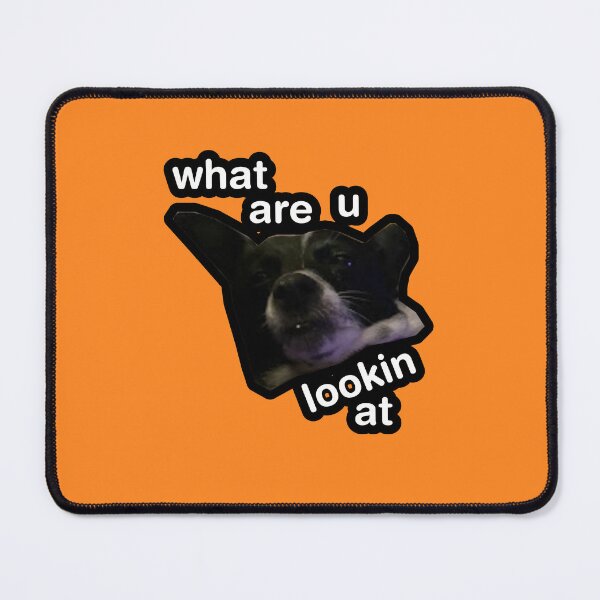 Item preview, what are u lookin at dog orange designed and sold by DigiBerryAtlr.