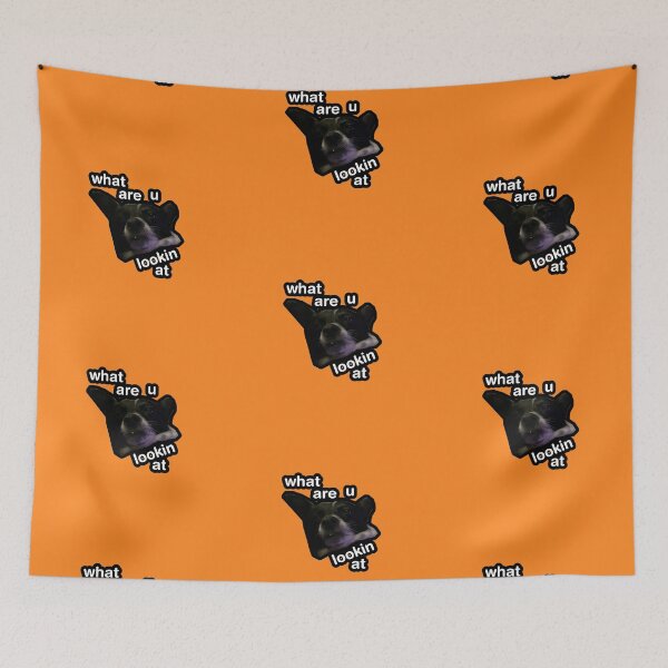Item preview, what are u lookin at dog orange designed and sold by DigiBerryAtlr.