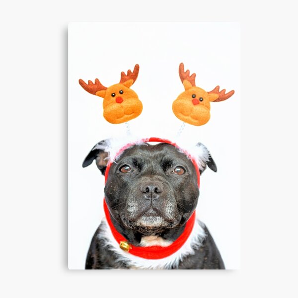 Merry Christmas.. Metal Print