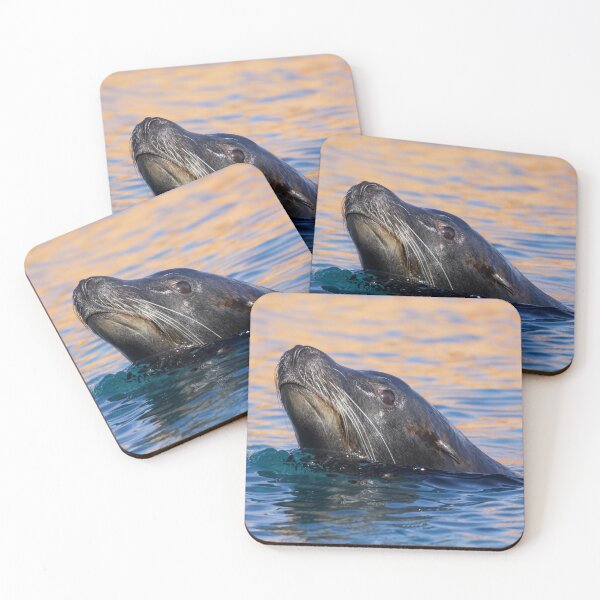 Item preview, Sea Lion Swimming in the Morning Sun designed and sold by LFPPhotography.