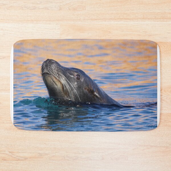 Item preview, Sea Lion Swimming in the Morning Sun designed and sold by LFPPhotography.