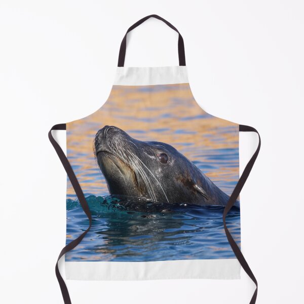 Item preview, Sea Lion Swimming in the Morning Sun designed and sold by LFPPhotography.