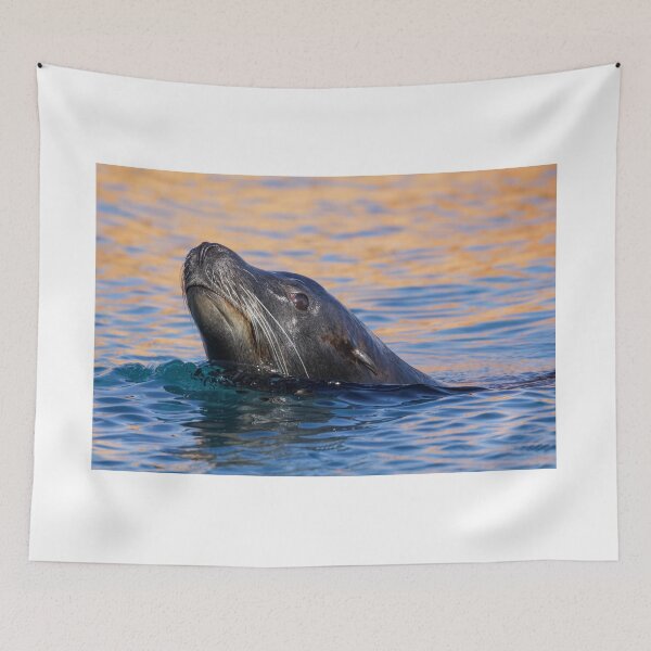 Item preview, Sea Lion Swimming in the Morning Sun designed and sold by LFPPhotography.