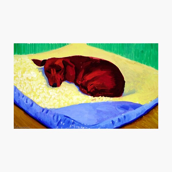 Aperçu de l'œuvre David Hockney 1995 Original Gallery 'Dog 43' Affiche Poster créée et vendue par Samrachop.