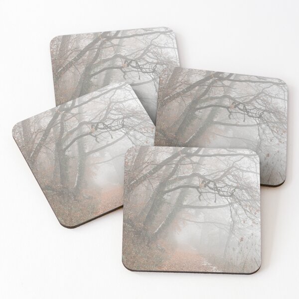 Item preview, Forest path on a foggy winter day, cold moody scene designed and sold by StohlerPhotos.