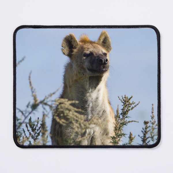 Item preview, Spotted Hyena Loving Life designed and sold by LFPPhotography.