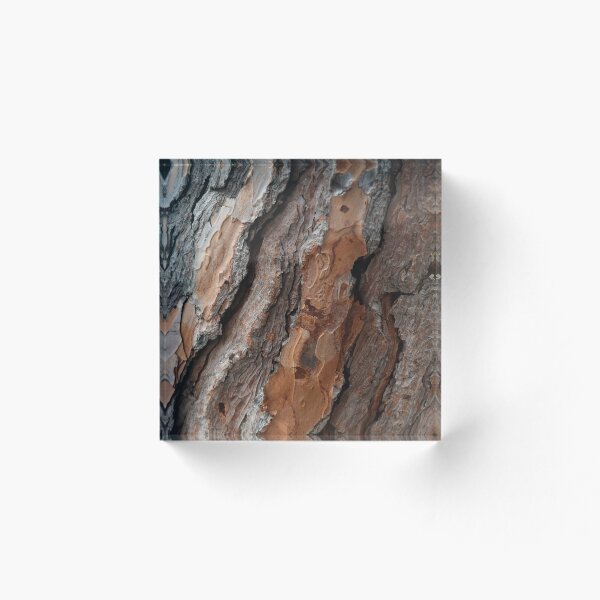 Item preview, Umbrella Pine Bark designed and sold by Nerone.
