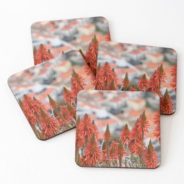 Item preview, Aloe plant in bloom, Madeira designed and sold by studio838.