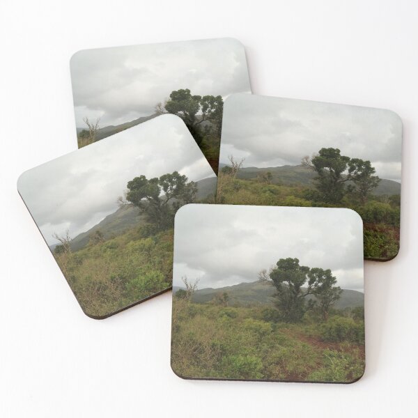 Item preview, Nature, Landscape, Africa, South Africa, Hluhluwe Umfolozi NP, Photography, BebiCervin designed and sold by BebiCervin.