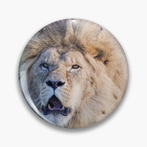 Item preview, Lion Surveying His Domain designed and sold by LFPPhotography.