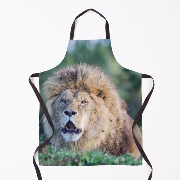 Item preview, Lion Surveying His Domain designed and sold by LFPPhotography.
