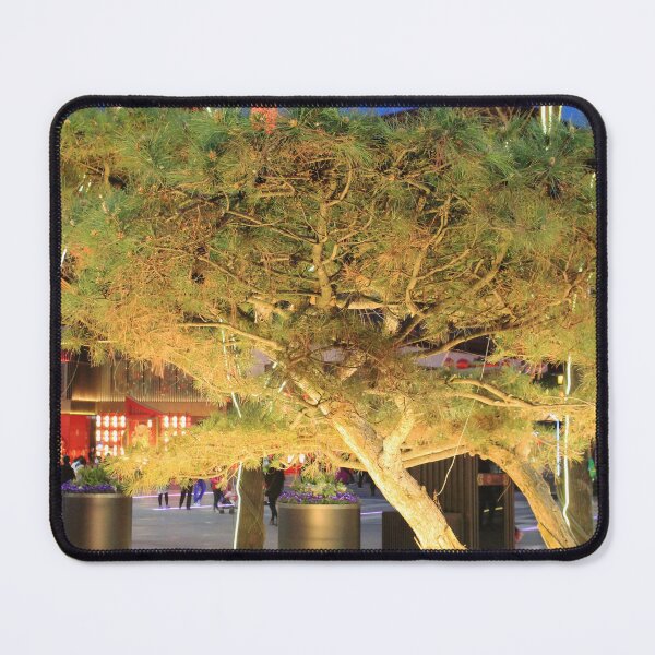 Item preview, Fevertree Lit Up designed and sold by Thomas Halouva.