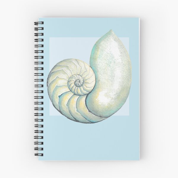 Item preview, Nautilus sea shell in light blue designed and sold by LisaLeQuelenec.
