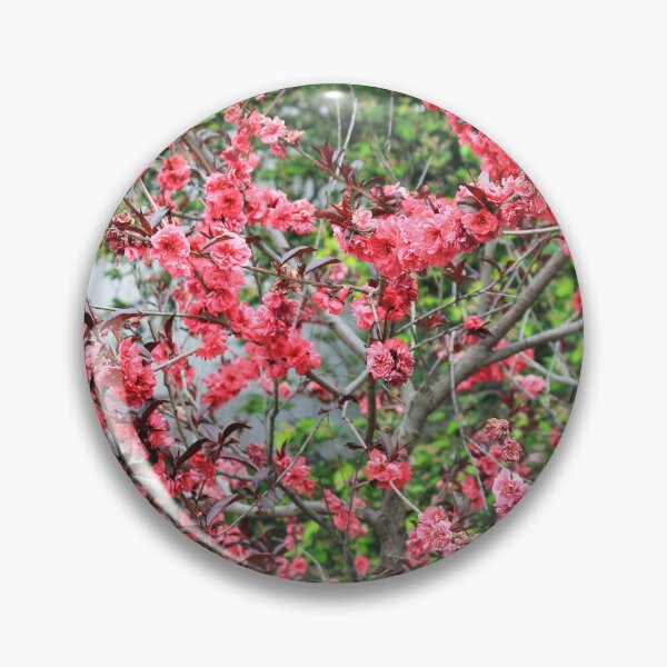 Artikelvorschau, Flowering Quince entworfen und verkauft von Thomas Halouva.