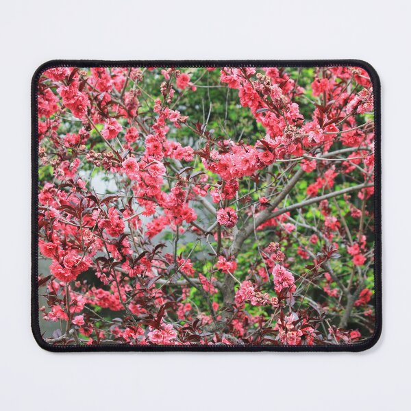 Item preview, Flowering Quince designed and sold by Thomas Halouva.