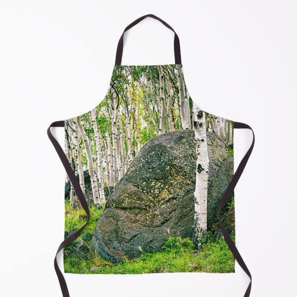 Item preview, Aspen Stand Boulder Utah X101 designed and sold by RichFrancoCars.