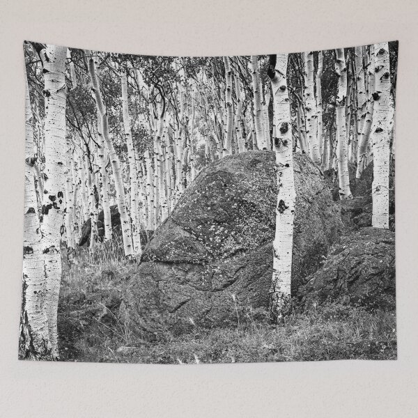 Item preview, Aspen Stand Boulder Utah X103 designed and sold by RichFrancoCars.