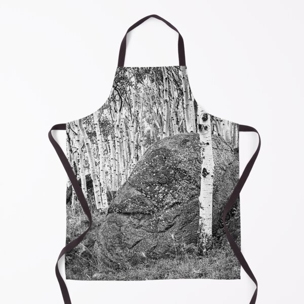 Item preview, Aspen Stand Boulder Utah X103 designed and sold by RichFrancoCars.