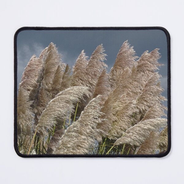 Item preview, What Fronds are for. designed and sold by GingerMan2550.
