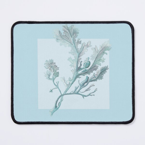 Item preview, Botanical seaweed in pale blue designed and sold by LisaLeQuelenec.
