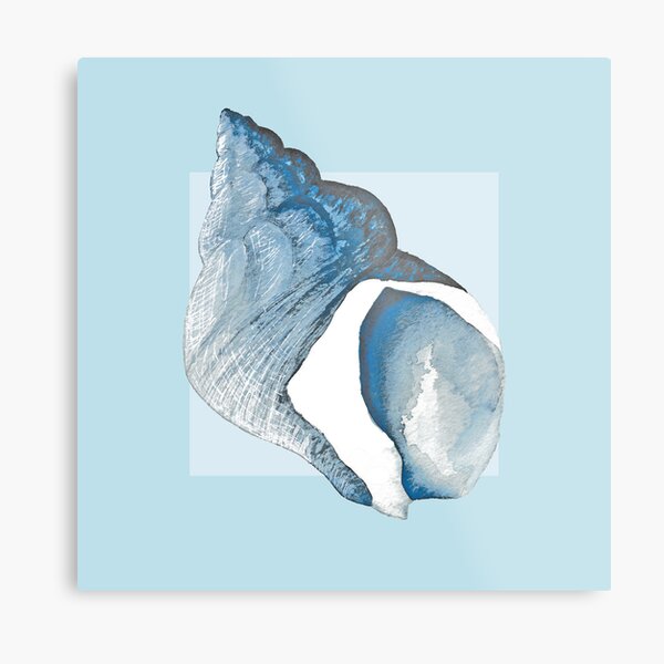 Whelk shell in pale blue Metal Print