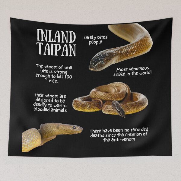 Item preview, Inland Taipan Snake Fun Facts designed and sold by KyleNesas.