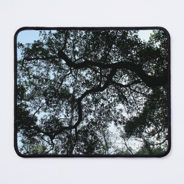 Item preview, Tree Tops designed and sold by Thomas Halouva.