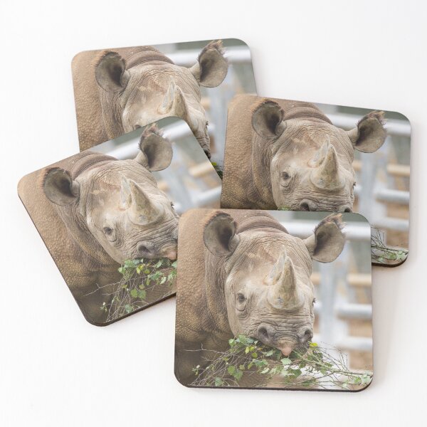 Item preview, Breakfast Time at the Rhino Enclosure designed and sold by LFPPhotography.