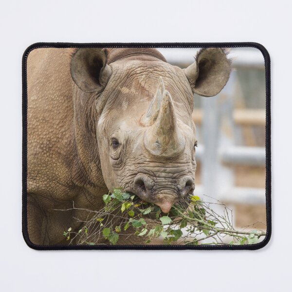 Item preview, Breakfast Time at the Rhino Enclosure designed and sold by LFPPhotography.