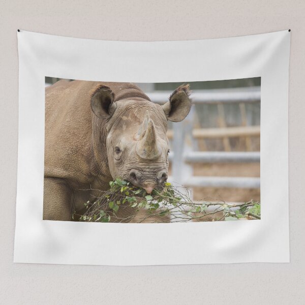 Item preview, Breakfast Time at the Rhino Enclosure designed and sold by LFPPhotography.