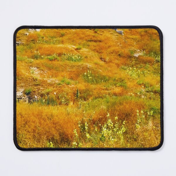 Item preview, Steppe on a bright summer day, natural background designed and sold by helenkaiy.