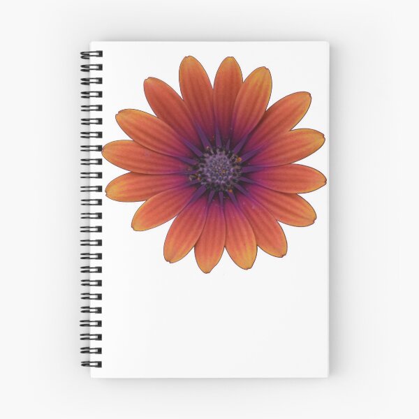 Item preview, Osteospermum designed and sold by themaybebee.