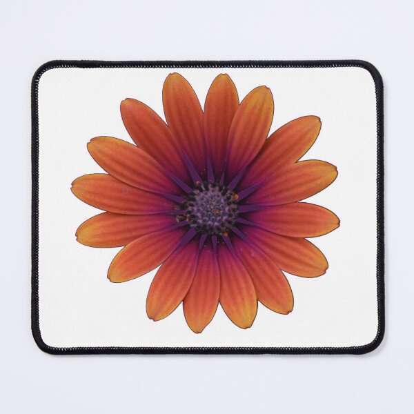Item preview, Osteospermum designed and sold by themaybebee.