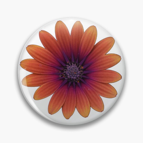 Item preview, Osteospermum designed and sold by themaybebee.