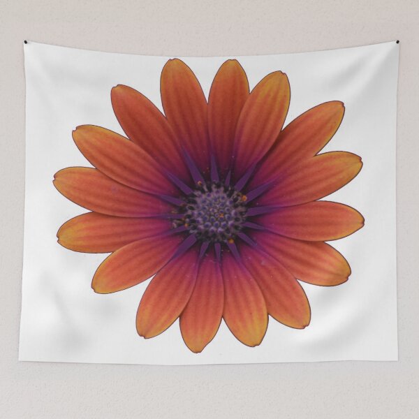 Item preview, Osteospermum designed and sold by themaybebee.