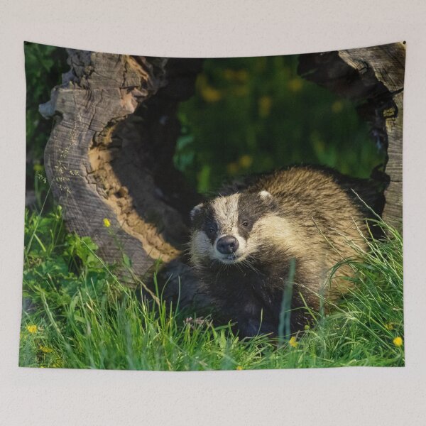 Item preview, Smile for the camera designed and sold by FXST.