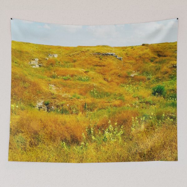Item preview, Steppe on a bright summer day, natural background  designed and sold by helenkaiy.