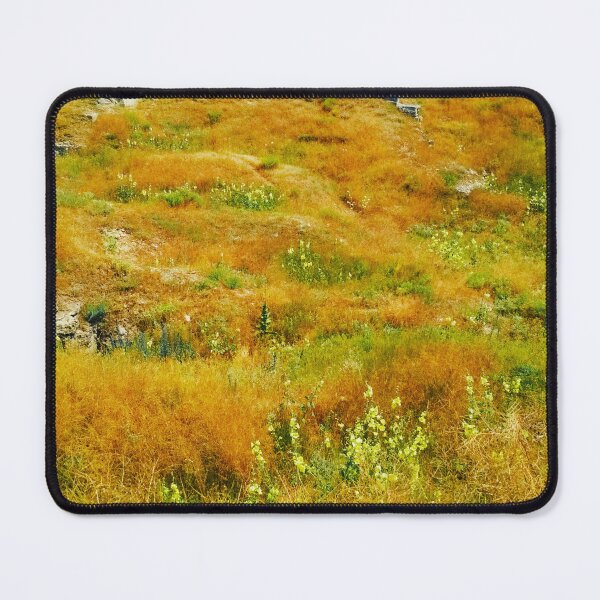 Item preview, Steppe on a bright summer day, natural background  designed and sold by helenkaiy.