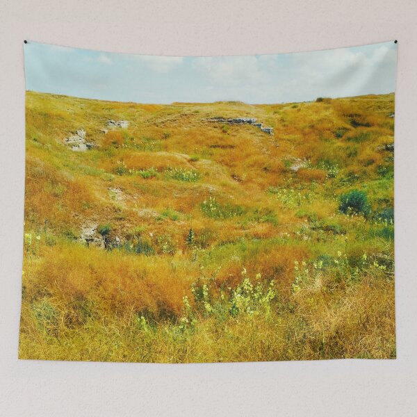 Item preview, Steppe on a bright summer day, natural background  designed and sold by helenkaiy.