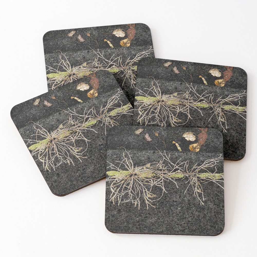 Item preview, Coasters (Set of 4) designed and sold by Steve Walser.