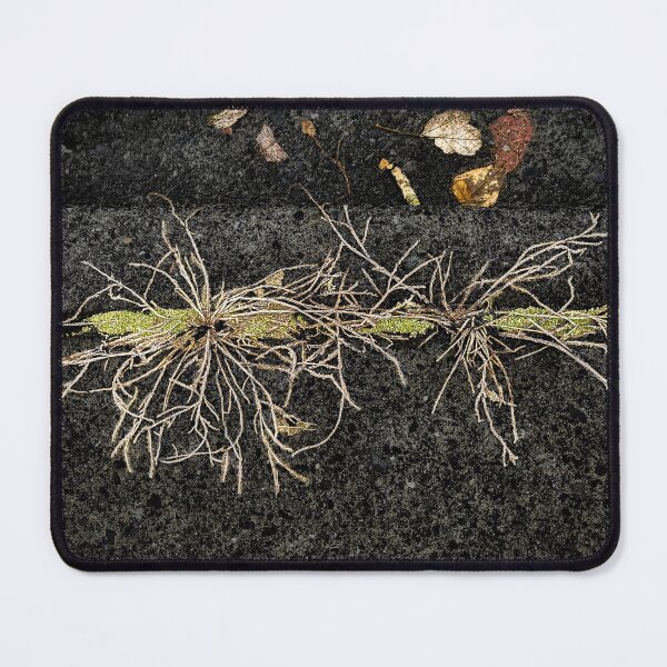 Item preview, Marginalized designed and sold by Steve Walser.